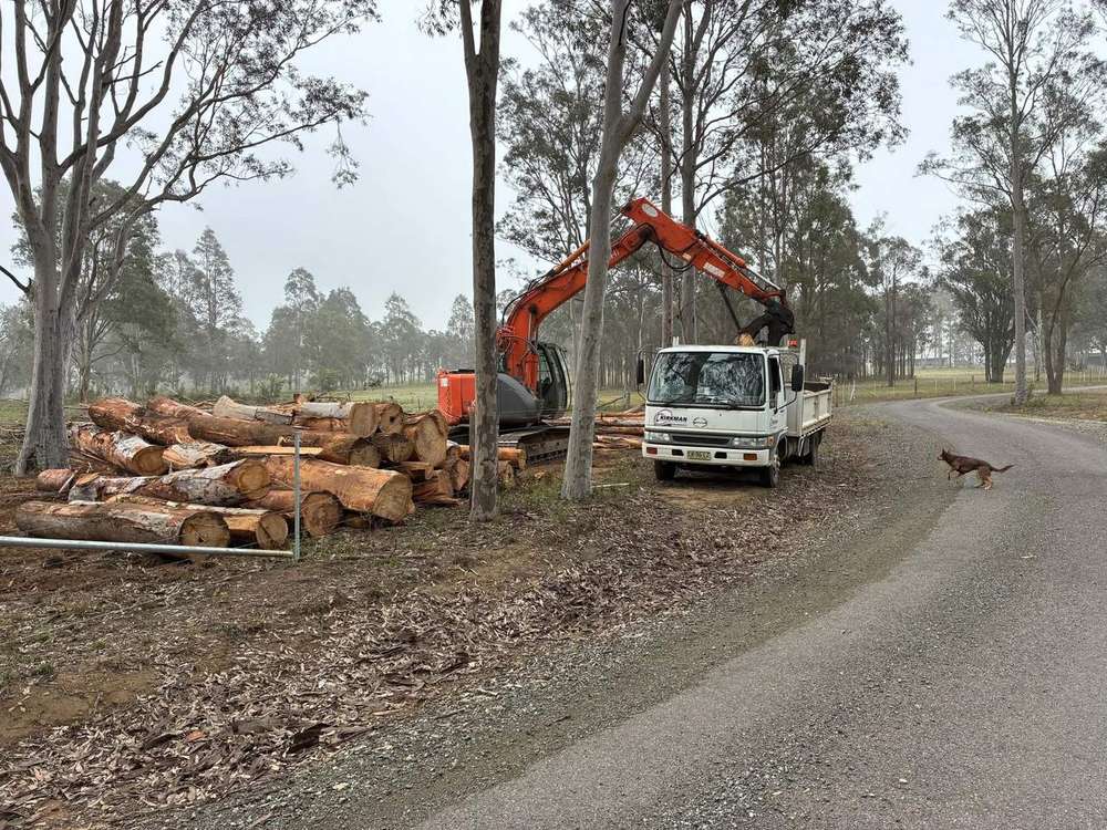 Timber cleared and loaded out