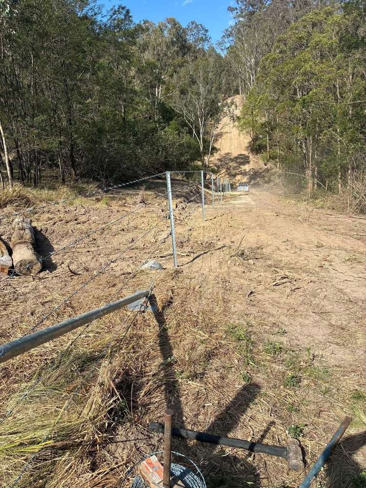 Finished barb fence strained along a freshly cleared bush line